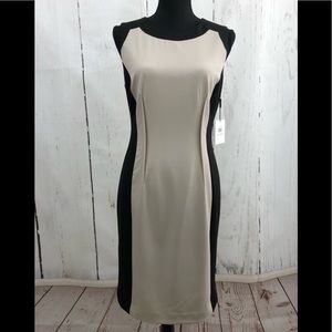 Calvin Klein Sleeveless Dress